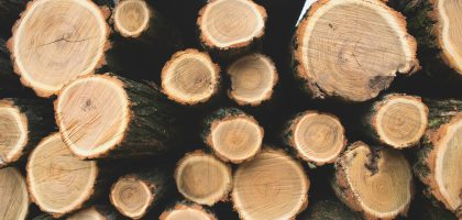 aleksandar-radovanovic-mXKXJI98aTE-unsplash