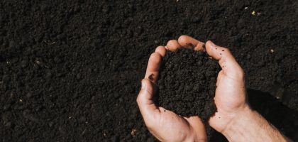 flat-lay-hands-holding-soil