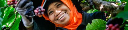 Banaran,Coffee,Village,Near,The,City,Of,Semarang,In,Central