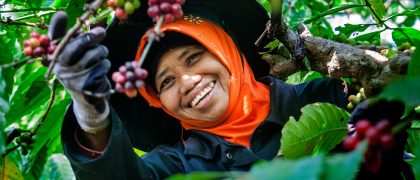 Banaran,Coffee,Village,Near,The,City,Of,Semarang,In,Central