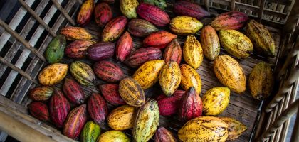 tomas-malik-5VORokHbWEs-unsplash